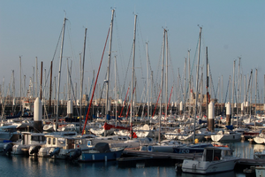 Lutte contre les nuisibles Le Havre